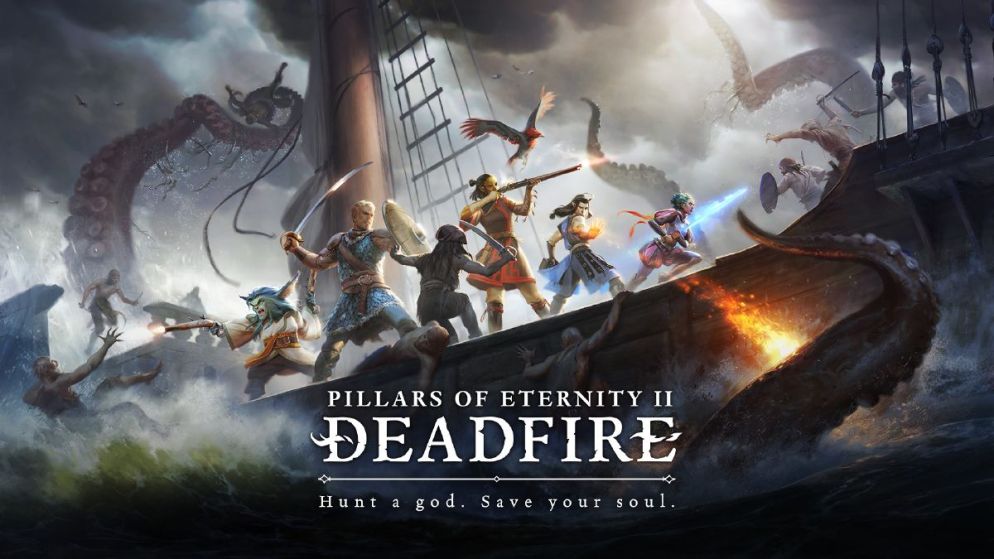 pillars of eternity 2 - cover art